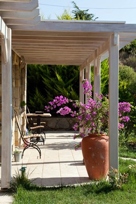 Oda Fotoğrafları, Baykuş - Bozcaada Mavi Karga